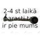 Stiepnis/Atsaite, Riteņa piekare FORTUNE LINE FZ5182