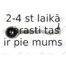Stiepnis/Atsaite, Riteņa piekare FORTUNE LINE FZ5181