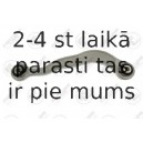 Neatkarīgās balstiekārtas svira, Riteņa piekare FORTUNE LINE FZ5150