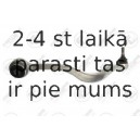 Neatkarīgās balstiekārtas svira, Riteņa piekare FORTUNE LINE FZ5068