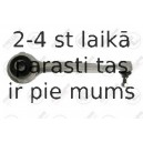 Neatkarīgās balstiekārtas svira, Riteņa piekare FORTUNE LINE FZ5026