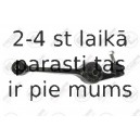 Neatkarīgās balstiekārtas svira, Riteņa piekare FORTUNE LINE FZ5018