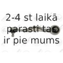 Neatkarīgās balstiekārtas svira, Riteņa piekare FORTUNE LINE FZ5005