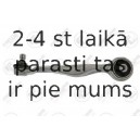 Neatkarīgās balstiekārtas svira, Riteņa piekare FORTUNE LINE FZ5004