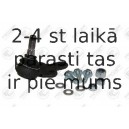 Balst-/Virzošais šarnīrs FORTUNE LINE FZ3375