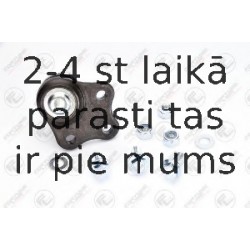 Balst-/Virzošais šarnīrs FORTUNE LINE FZ3293