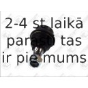 Balst-/Virzošais šarnīrs FORTUNE LINE FZ3262
