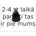 Balst-/Virzošais šarnīrs FORTUNE LINE FZ3074