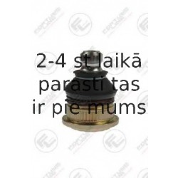 Balst-/Virzošais šarnīrs FORTUNE LINE FZ3012