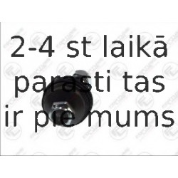 Balst-/Virzošais šarnīrs FORTUNE LINE FZ3004