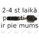 Aksiālais šarnīrs, Stūres šķērsstiepnis FORTUNE LINE FZ2518