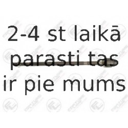Aksiālais šarnīrs, Stūres šķērsstiepnis FORTUNE LINE FZ2079