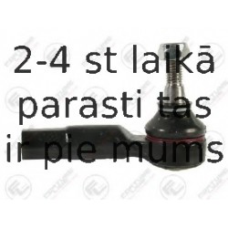 FORTUNE LINE FZ1179