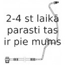 Bremžu šļūtene TRW PHD941