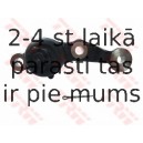 Balst-/Virzošais šarnīrs TRW JBJ7560