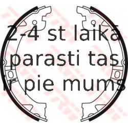 Bremžu loku kompl., Stāvbremze TRW GS8759