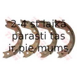 Bremžu loku kompl., Stāvbremze TRW GS8725