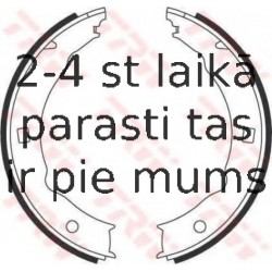 Bremžu loku kompl., Stāvbremze TRW GS8683