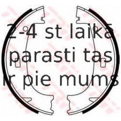 Bremžu loku kompl., Stāvbremze TRW GS8594