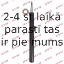 Amortizators KYB 665035