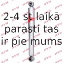 Amortizators KYB 553218