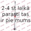 Amortizators KYB 553207