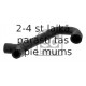 Шланг, вентиляция картера FEBI BILSTEIN 33855