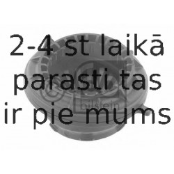 Ritgultnis, Amortizatora statnes balsts FEBI BILSTEIN 31448