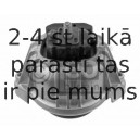 Piekare, Dzinējs FEBI BILSTEIN 31016