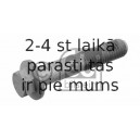 Skrūve FEBI BILSTEIN 29451