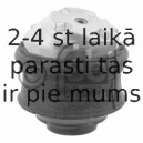 Piekare, Dzinējs FEBI BILSTEIN 29330