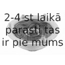 Amortizatora statnes balsts FEBI BILSTEIN 24316