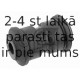 Piekare, Lokšņu atspere FEBI BILSTEIN 23483