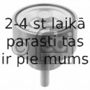 Spriegotājrullītis, Ķīļsiksna FEBI BILSTEIN 22899