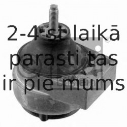 Piekare, Pārnesumkārba FEBI BILSTEIN 22285