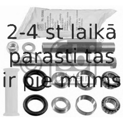 Remkomplekts, Balstiekārtas svira FEBI BILSTEIN 19244