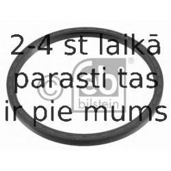 Vārpstas blīvgredzens, Riteņa rumba FEBI BILSTEIN 18584