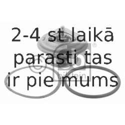 Termostats, Dzesēšanas šķidrums FEBI BILSTEIN 15850