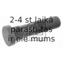 Riteņa stiprināšanas skrūve FEBI BILSTEIN 15341