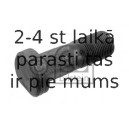 Riteņa stiprināšanas skrūve FEBI BILSTEIN 15170