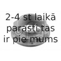 Uzgrieznis, Ass kakliņš FEBI BILSTEIN 12181