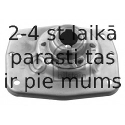 Amortizatora statnes balsts FEBI BILSTEIN 11970