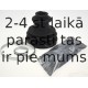 SPIDAN 23110