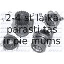 DOLZ A251