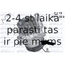 DOLZ A224