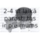 DOLZ B224