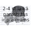 DOLZ B224