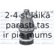 DOLZ B215
