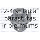 DOLZ A198
