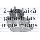 DOLZ T193